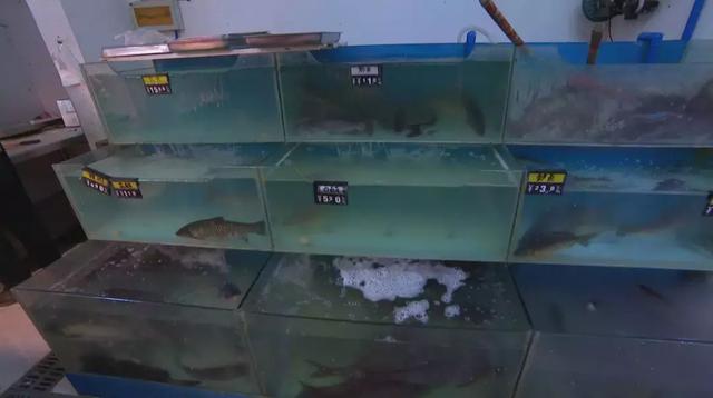 双流本地人推荐川菜,双流30人中餐