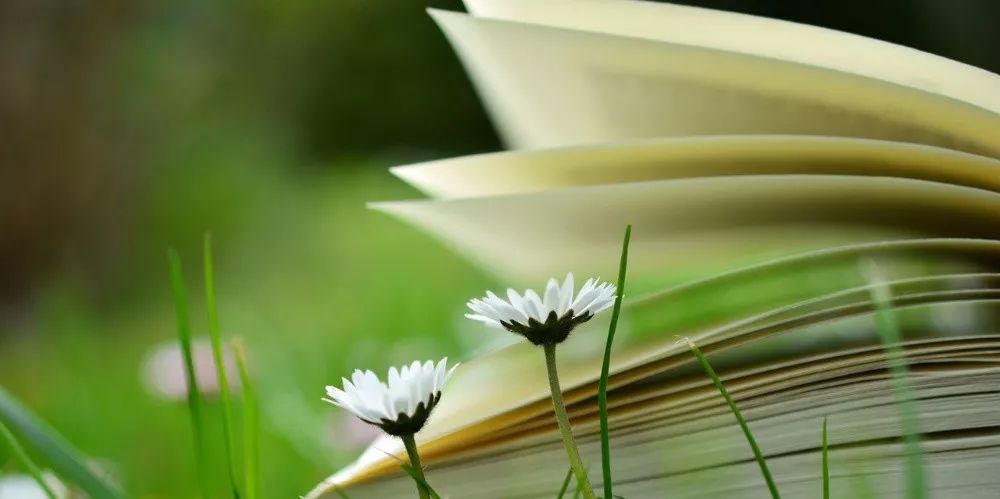 苏枕书,苏枕书小说作品集