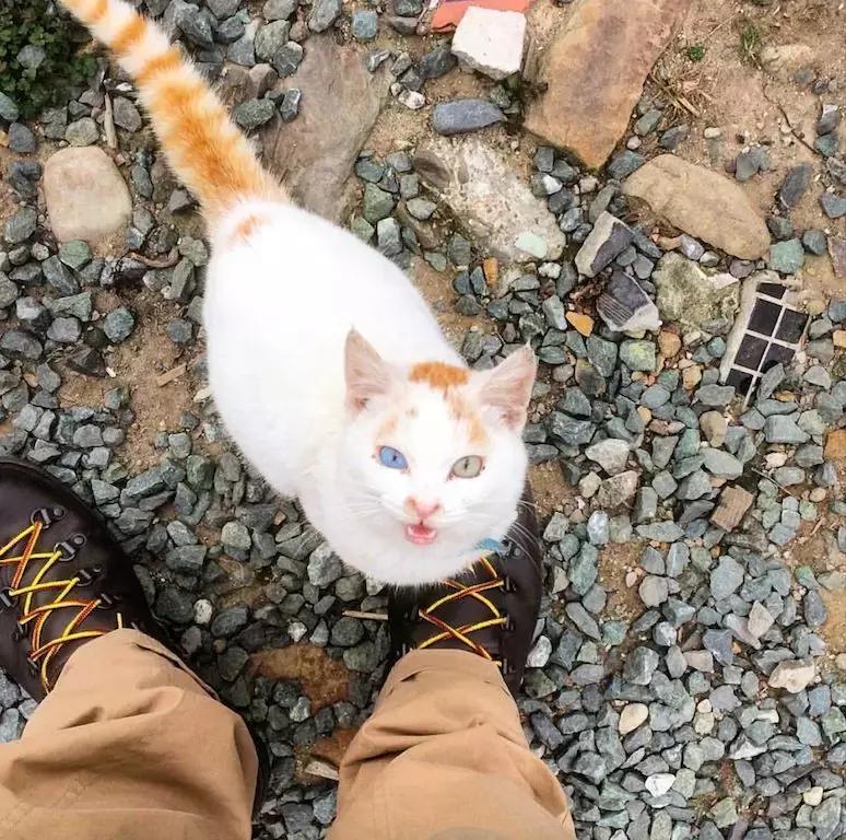 宫崎骏笔下的场景是真实存在的,宫崎骏现实版的场景