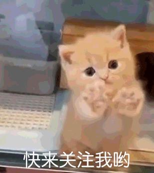 和花枝鼠一起睡,跟花枝鼠一起睡觉