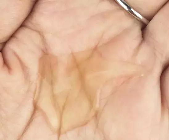 最新洗发水推荐去屑控油防脱发,最火网红洗发水滋润干枯毛躁推荐