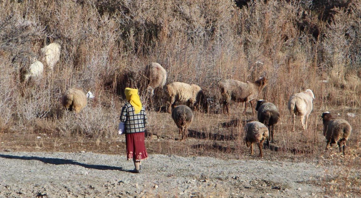 探秘帕米尔高原塔吉克族,帕米尔高原上的塔吉克族族人