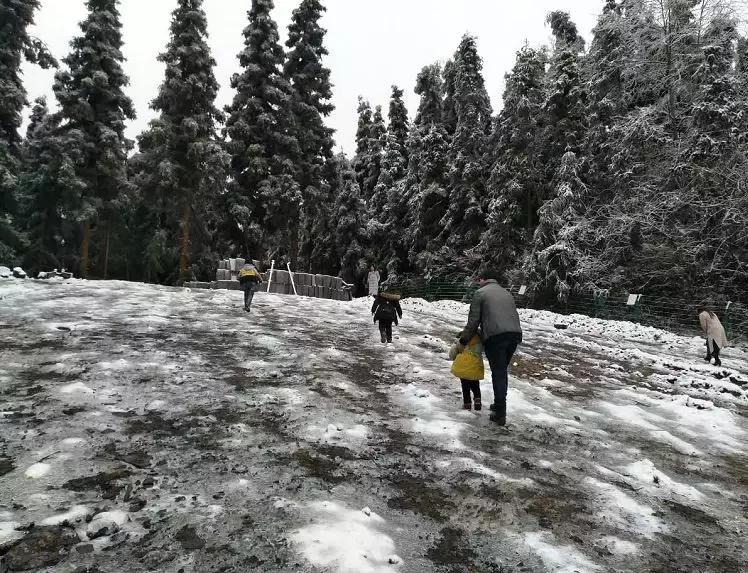 利川市冰雪奇缘滑雪场,利川冰雪奇缘滑雪场