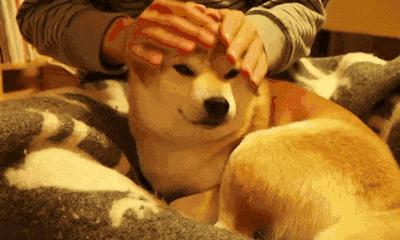 婴儿秋冬面霜十大排名保湿,儿童面霜保湿滋润秋冬6-12岁