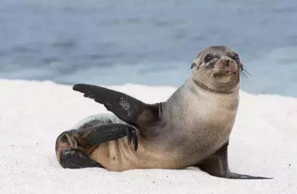 北京旅游冰雪场,北京最大冰雪乐园