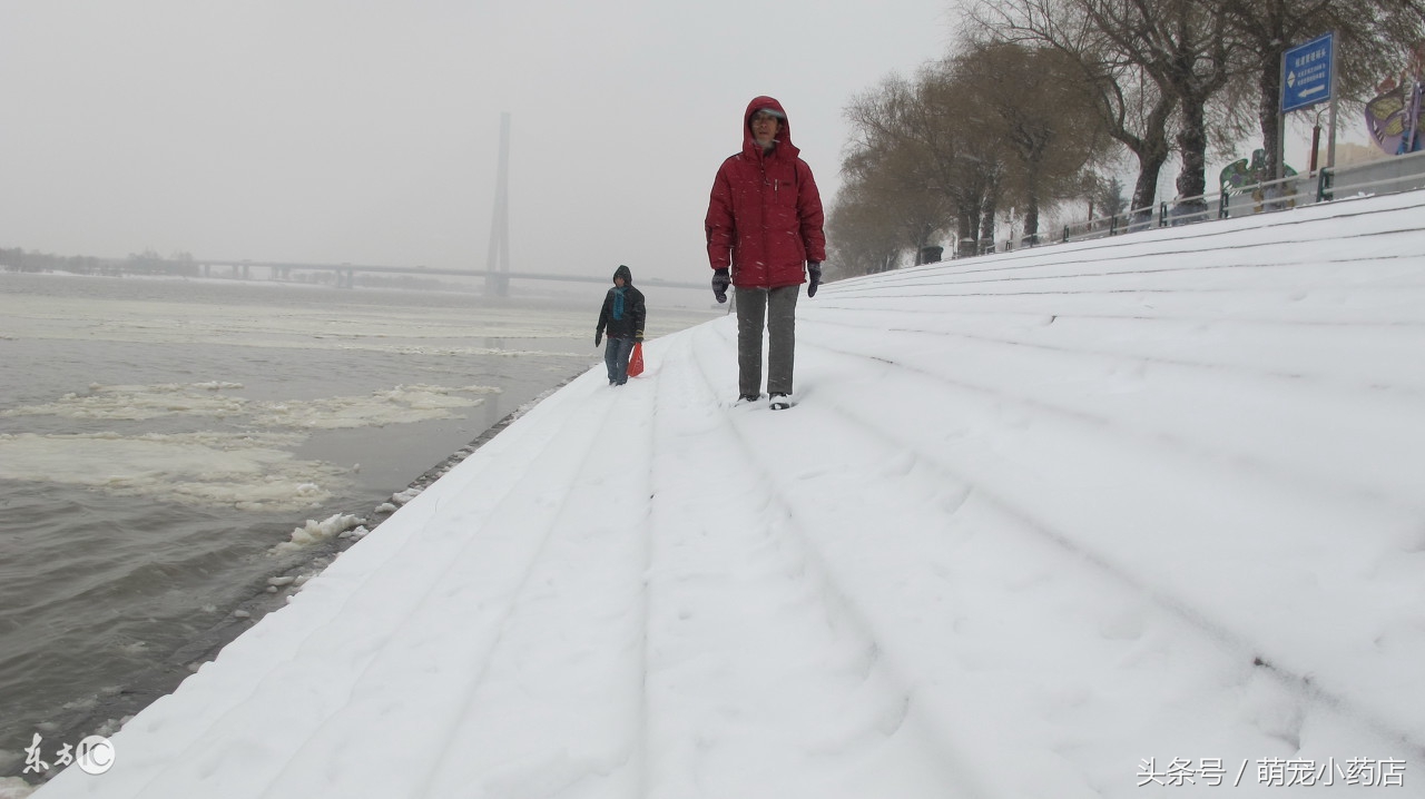 宠物肾衰竭一定要输液吗,宠物医生肾衰竭