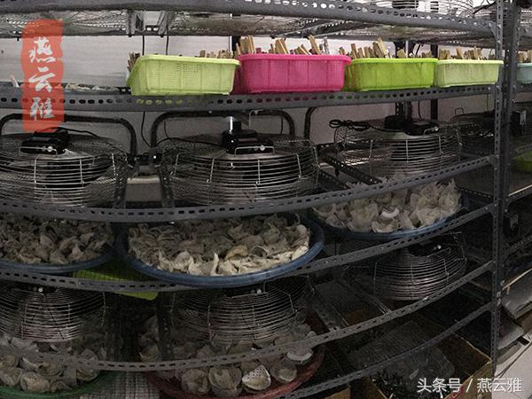 即食金丝燕燕窝批发价格表,燕云雅干燕窝批发价格