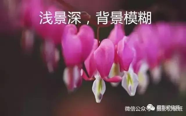 新手相机介绍攻略,新手入门相机的知识