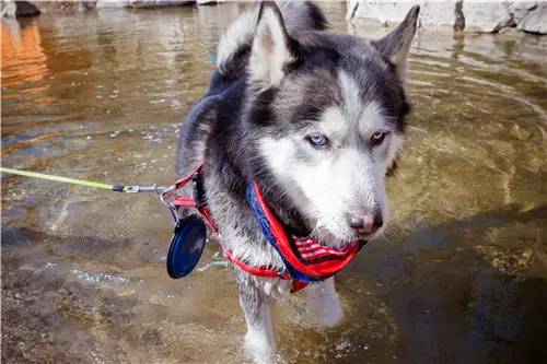 回顾欧帝亿和你相遇春の水长城