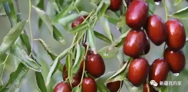 新疆新型城市,新疆刚建立的南疆城市