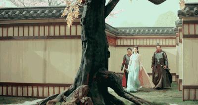 艳骨掠影里面的佟梦实,艳骨佟梦实剧照图片