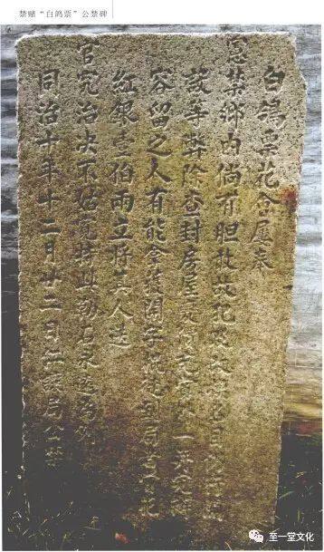 清末彩票,2023年彩票活动