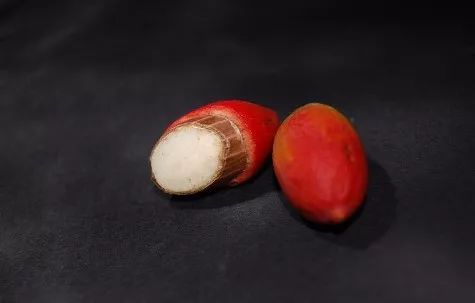 东南亚最好吃的虾片牌子,新加坡餐厅里的虾片