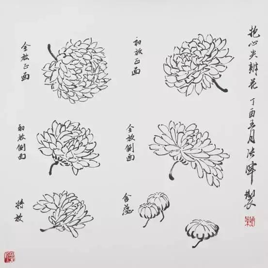 国画花鸟画花的构图,花鸟画各种造型的画法