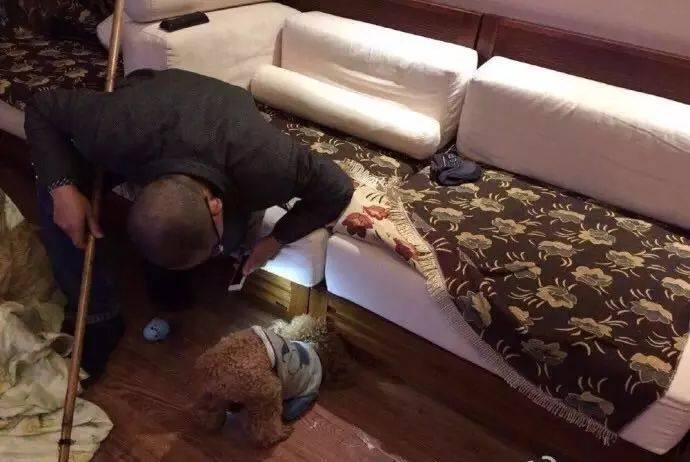 为什么家长不让孩子养宠物,宠物爸妈不让养怎么办