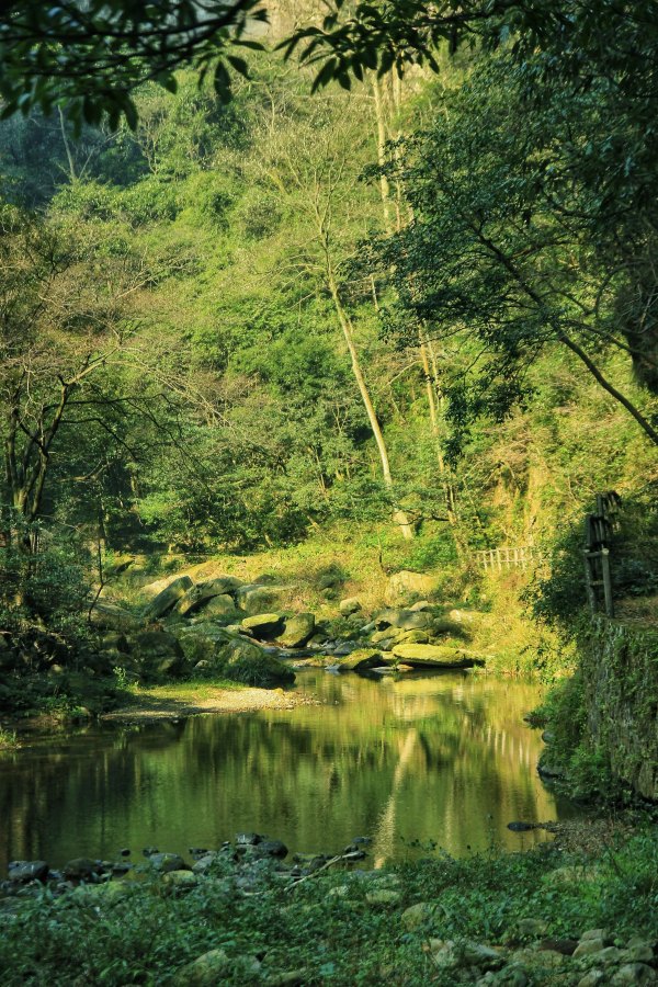 神奇美丽的张家界,张家界大自然仙境长视频