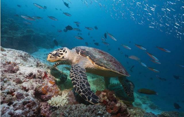 五种不能上当的文玩,这几种文玩戴着邪性千万不要碰