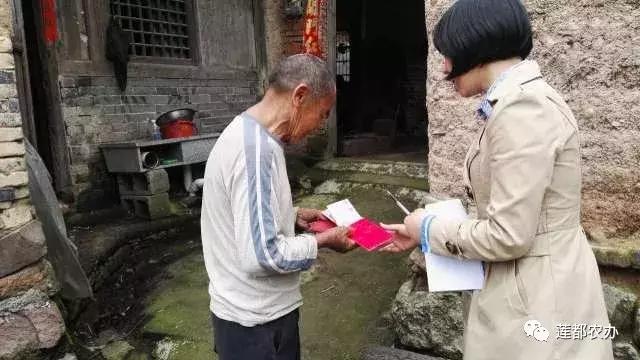 十年如一日，他们是最可爱的“扶贫人”——区农办扶贫开发科专访