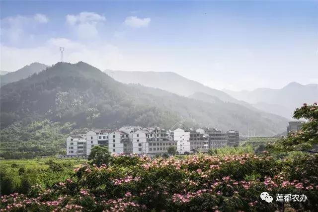 十年如一日，他们是最可爱的“扶贫人”——区农办扶贫开发科专访