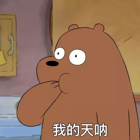 庞氏骗局被骗3千万,庞氏骗局真实案例警方查获