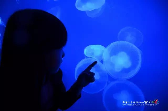 亲子出国海岛游推荐,马来西亚亲子海岛游推荐