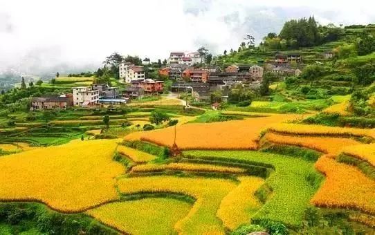 2018年浙江地方景点旅游日历大合集!含杭州,建德,温州,金华!