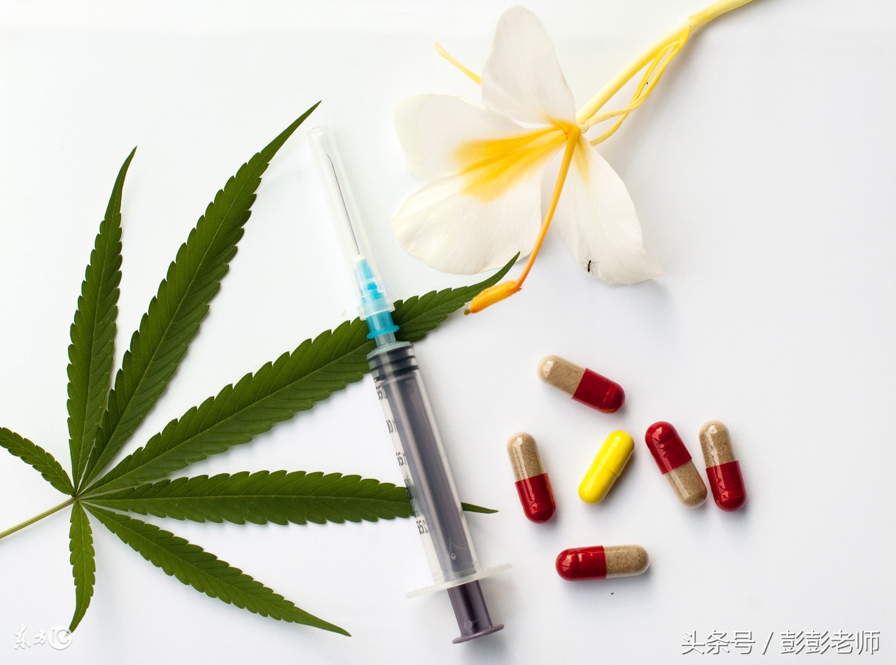 网友真人分享：学药的，去哪工作挣得多？