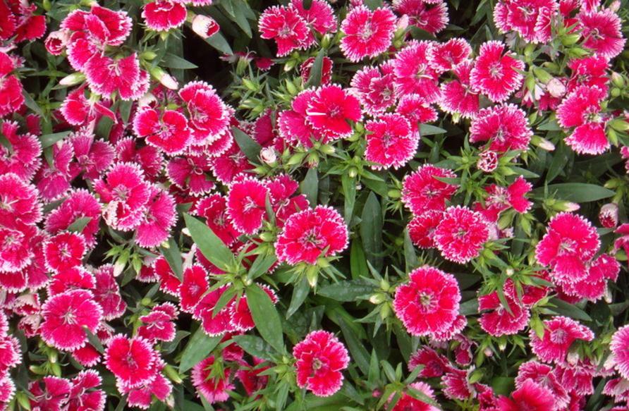 人生低谷了怎么做才能成功,人生逆境低谷纠结时应该怎么样