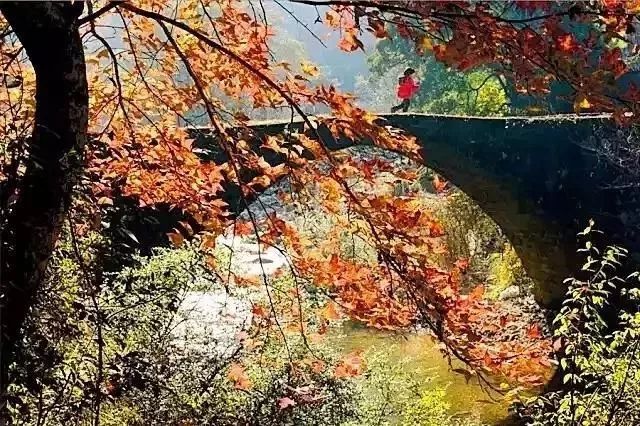 2018年浙江地方景点旅游日历大合集!含杭州,建德,温州,金华!