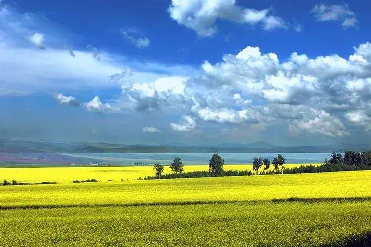广东草原风景,广东绝美草原
