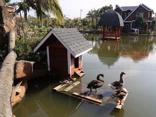 省级示范家庭农场,四川农家乐和休闲农庄