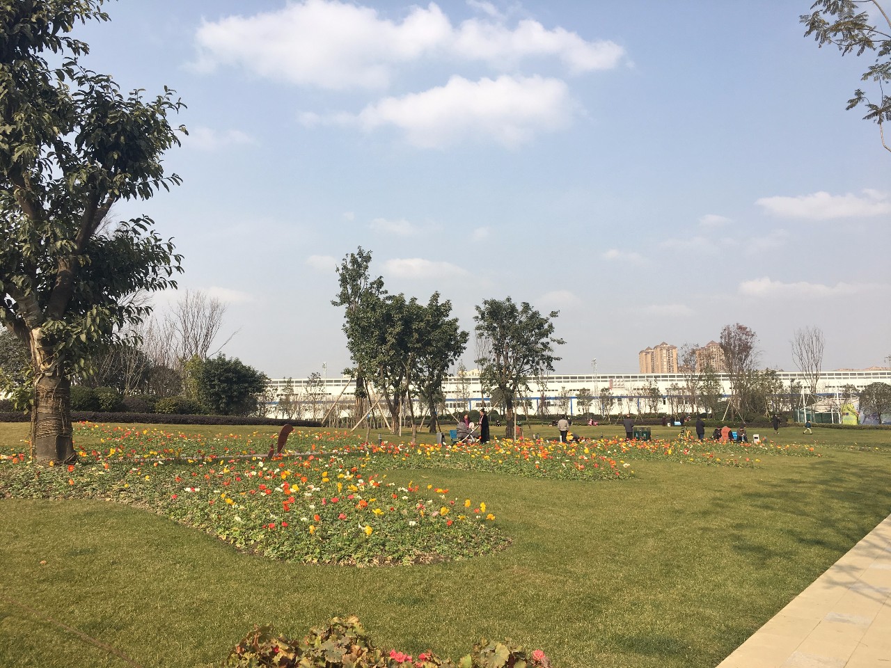 青秀未遮山最新消息,成华区青秀未遮山一期开盘多少钱