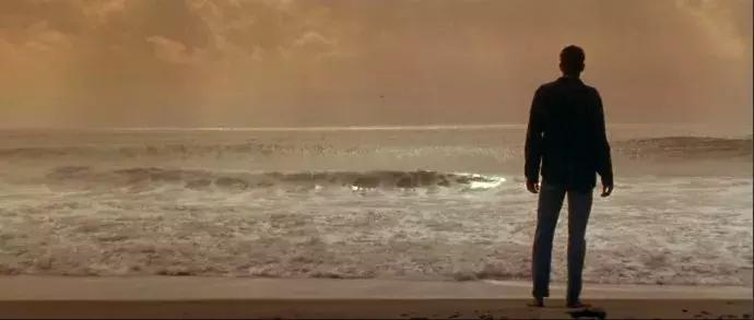 飞过人间的无常才懂爱是假象,飞过人间的无常才懂爱是浪漫