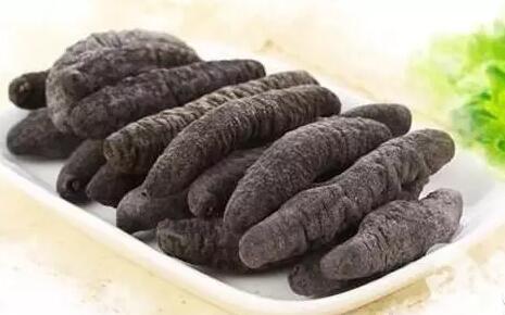 海参也有很多种,全世界所有可以吃的海参