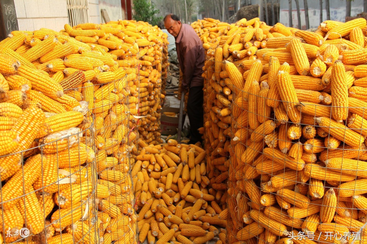 一分钟读懂配料表,三分钟看懂量化