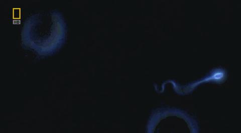 卵子和精子相遇……怎么就变成小孩了？