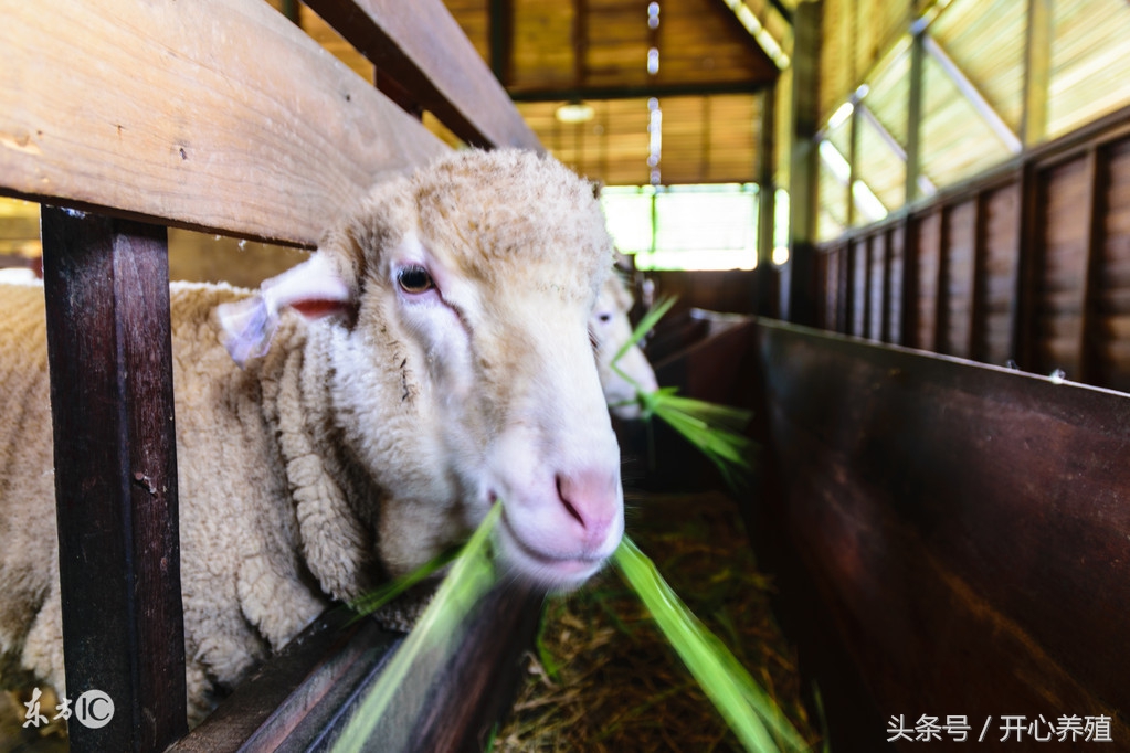 一分钟读懂配料表,三分钟看懂量化