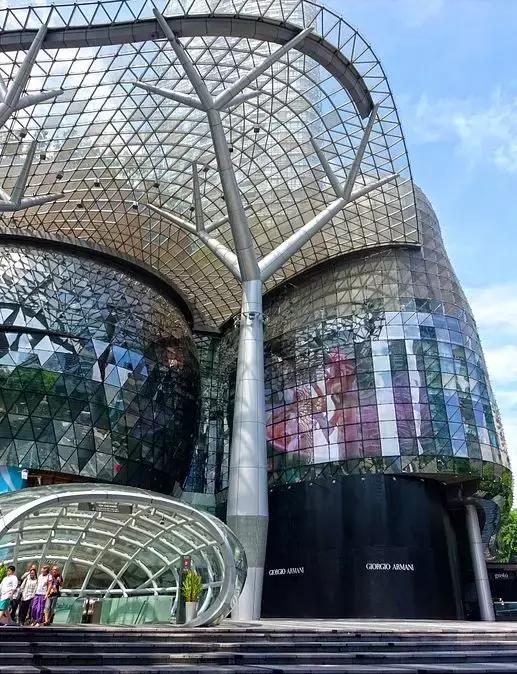 旅游达人带货为啥比官方的贵,新加坡旅游值得买东西