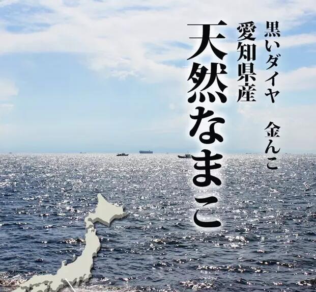 海参有上千种都是一样的吗,全世界海参有多少品种