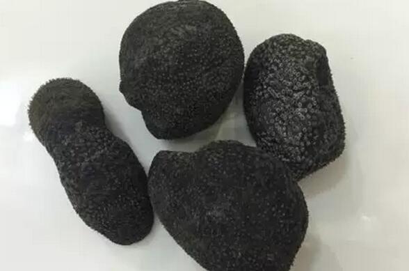 海参也有很多种,全世界所有可以吃的海参