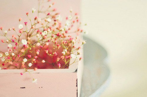 关于爱情的心灵鸡汤的经典语录,关于爱情失而复得的心灵鸡汤