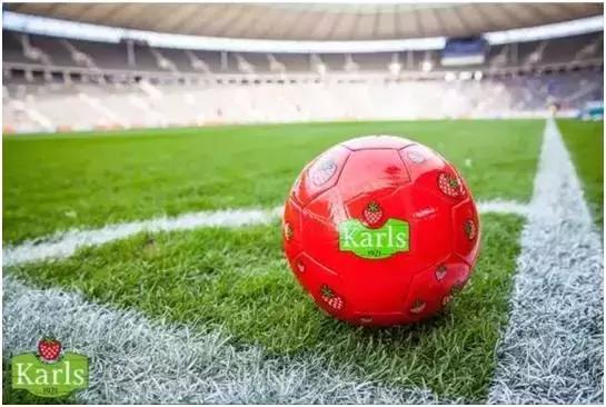 迪士尼农业采摘园,德国的草莓主题乐园