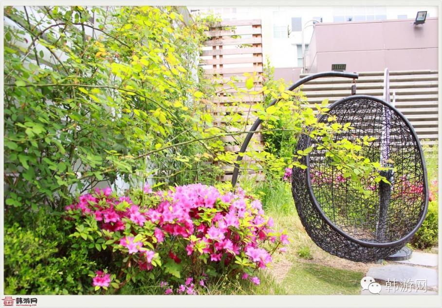 首尔一个人旅行,一个人去首尔旅行