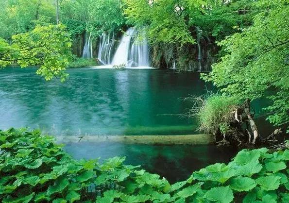 宁夏半价旅游团,宁夏5月1日免门票景区