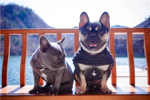 回顾欧帝亿和你相遇春の水长城