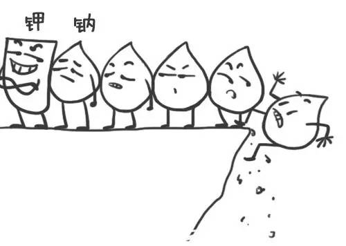 低钾血症和高尿酸血症的关系,低钠低钾和血压有关系吗