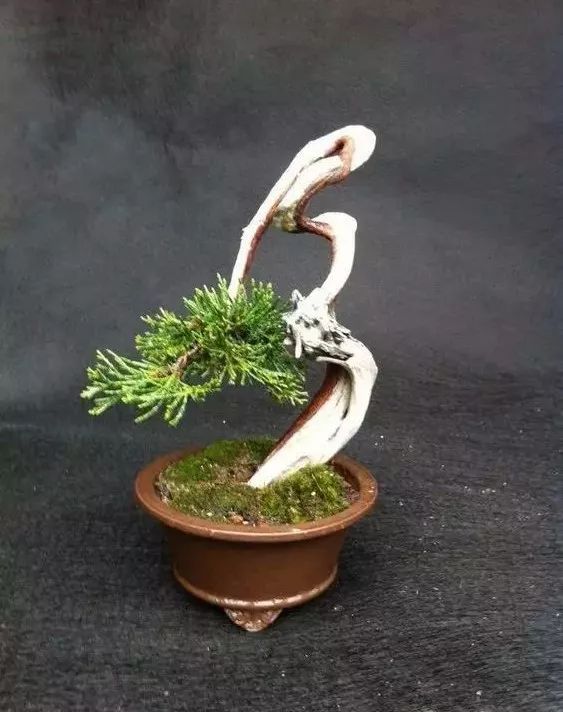 大师是怎样炼成的二胡独奏,真正的大师是怎么练成的