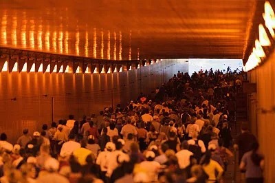 赚美金真实项目视频下载,赚国外美金的平台