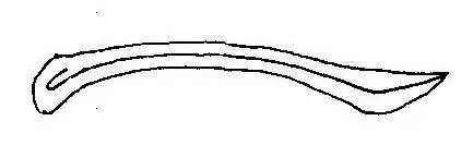 书法文学常识选择题答案,中国书法历史选择题答案及解析