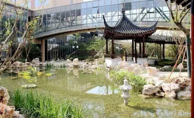 来了就是学霸！昆山家长们挤破头都想进的学校终于招生了